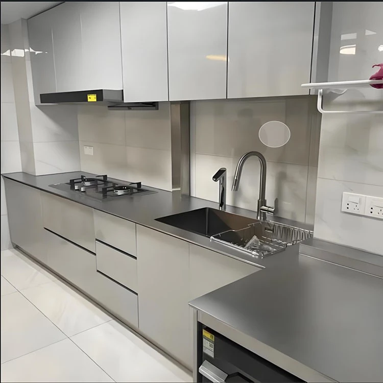 Simple Stainless Steel Kitchen Cabinets